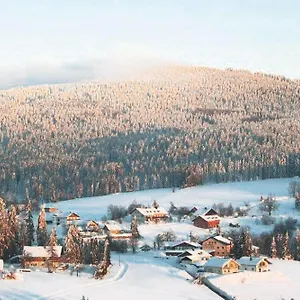 Apartment In In A Beautiful Area, Haidmühle